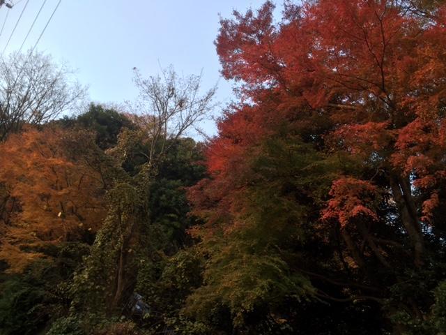 Umimoto Hotell Hakone Exteriör bild