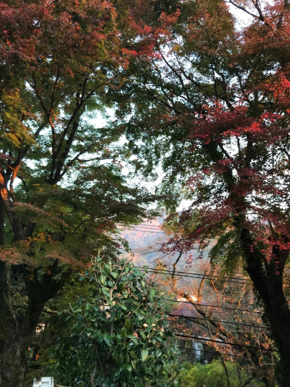 Umimoto Hotell Hakone Exteriör bild