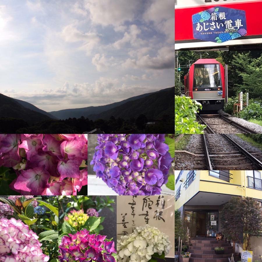 Umimoto Hotell Hakone Exteriör bild